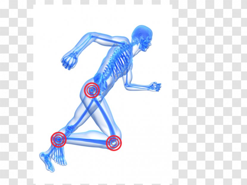 Human Skeleton Running Stock Photography Body - Watercolor Transparent PNG