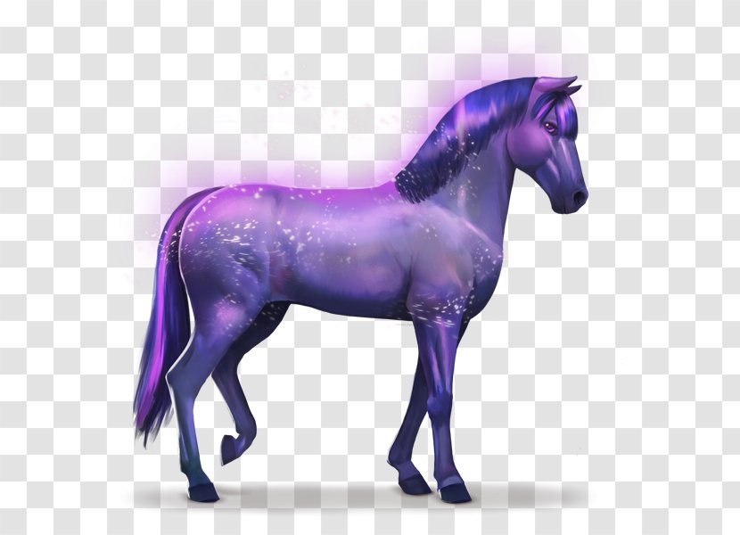 Horse Howrse Rainbow Indigo Aretus Transparent PNG