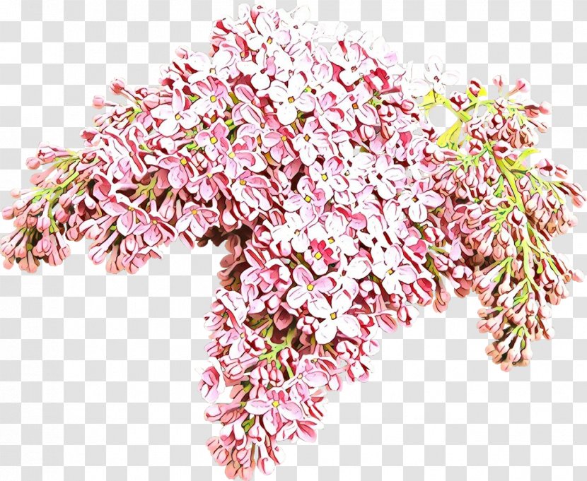 Pink Flower Plant Cut Flowers Blossom Transparent PNG