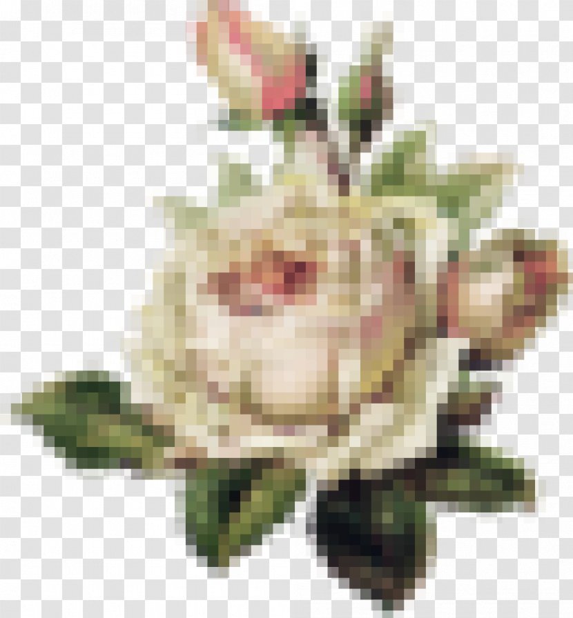 Vintage Roses: Beautiful Varieties For Home And Garden Old School (tattoo) Flower - Flowers Transparent PNG