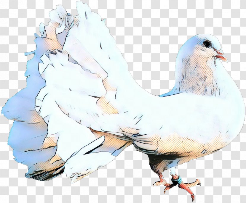 Dove Bird - Feather - Watercolor Paint Rock Transparent PNG