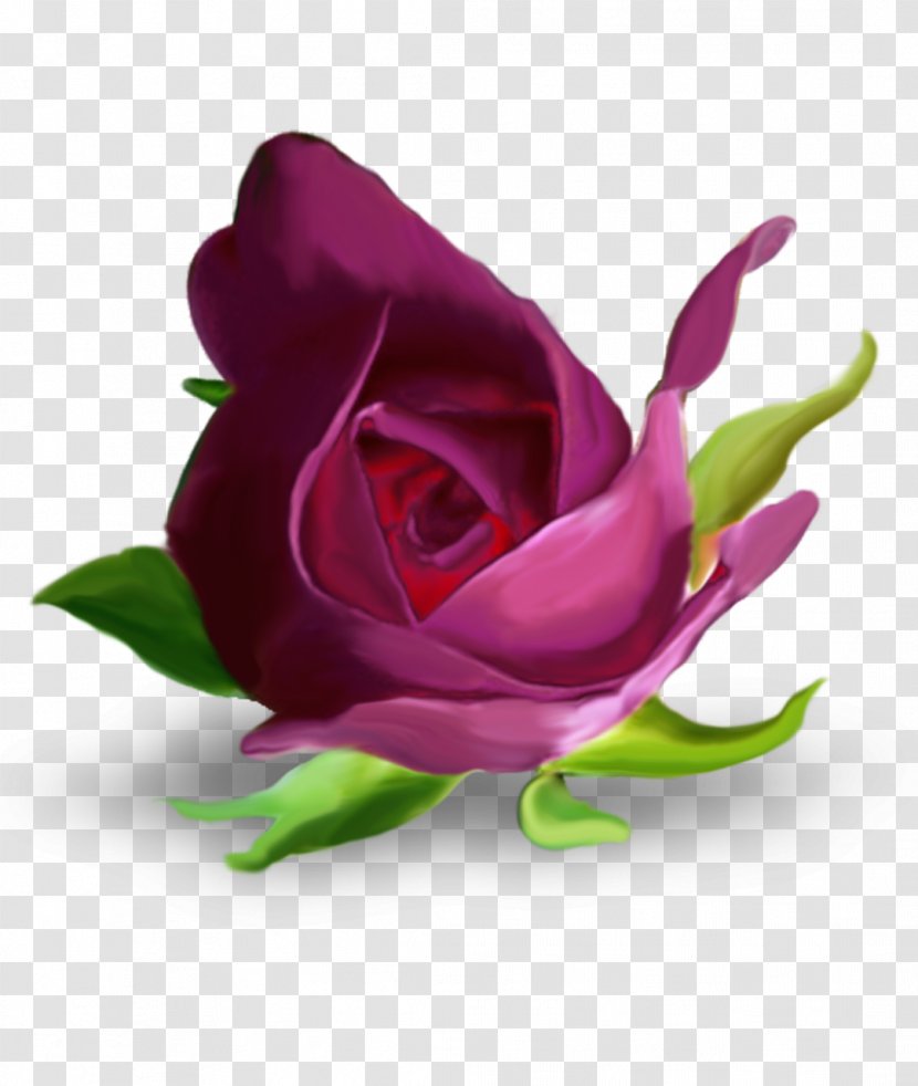 Garden Roses Flower Purple Letter Alphabet - Flowering Plant - Mystique Transparent PNG