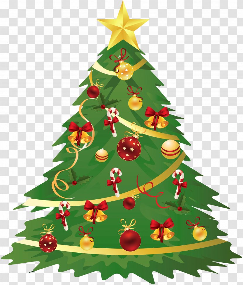 Christmas Tree Clip Art - Evergreen - Transparent Cliparts Transparent PNG