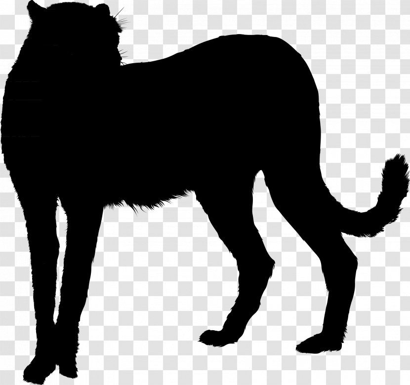 Whiskers Black Cat Panther GIF - Line Art Transparent PNG