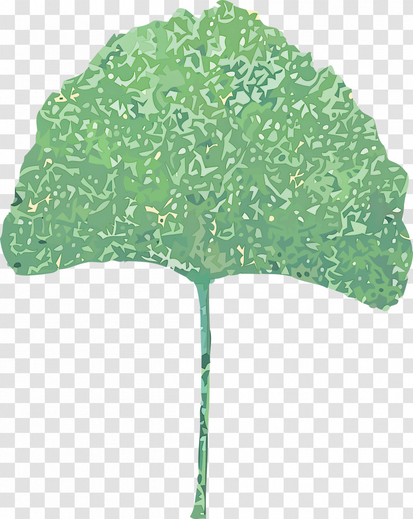 Leaf Plant Stem Tree Green Plants Transparent PNG