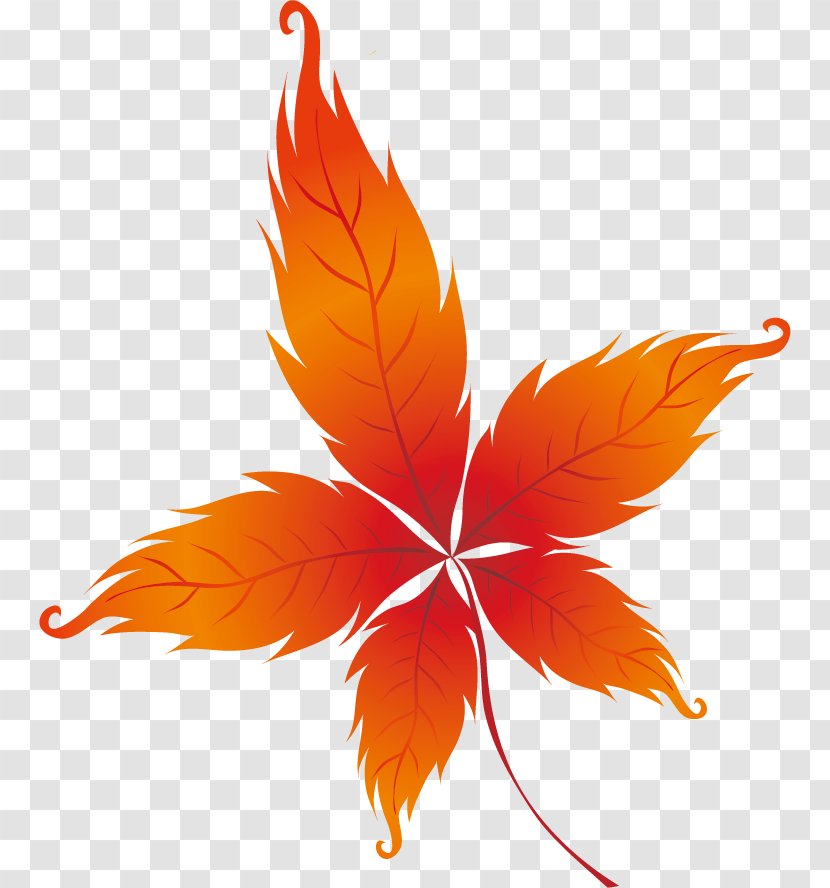 Autumn Leaves Drawing Leaf - Fall Season Transparent PNG