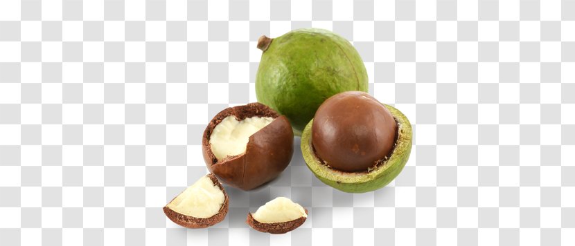 Macadamia Nut Oil Banana Bread - Ingredient Transparent PNG