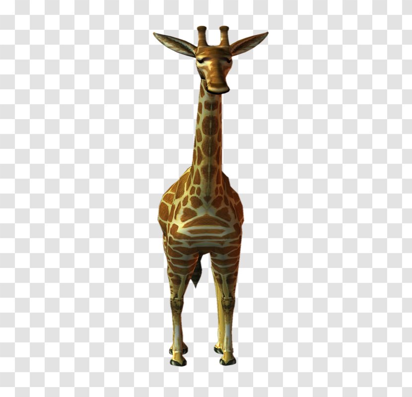 Northern Giraffe PhotoScape Animal Deer - Mammal - Jirafa Transparent PNG