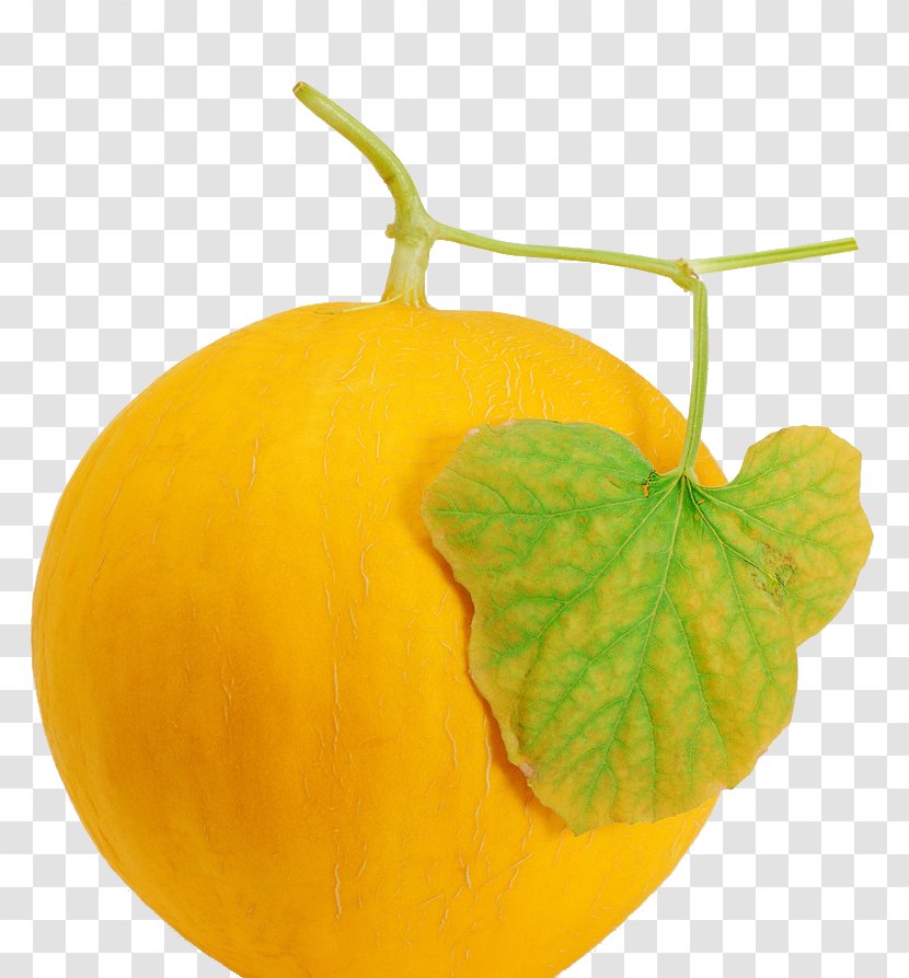 Cantaloupe Hami Melon Honeydew Melonpan - Auglis - Muskmelon Transparent PNG