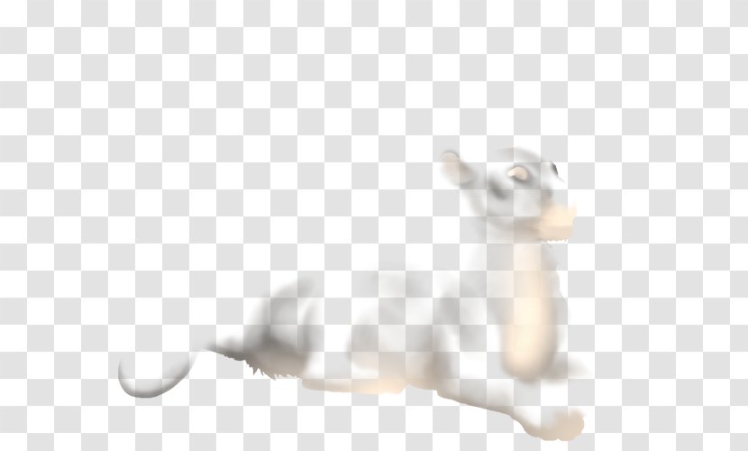 Whiskers Lion Cat Rat Mammal - Breed Transparent PNG