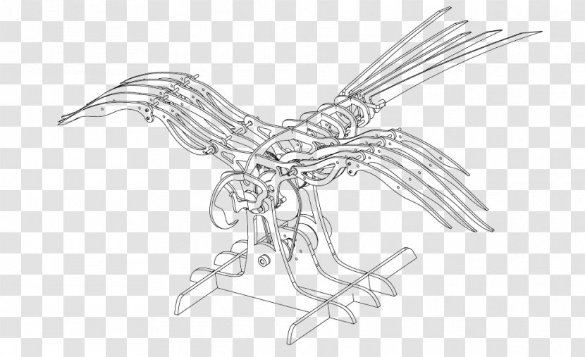 Beak Bird Of Prey Line Art Sketch - Fictional Character Transparent PNG