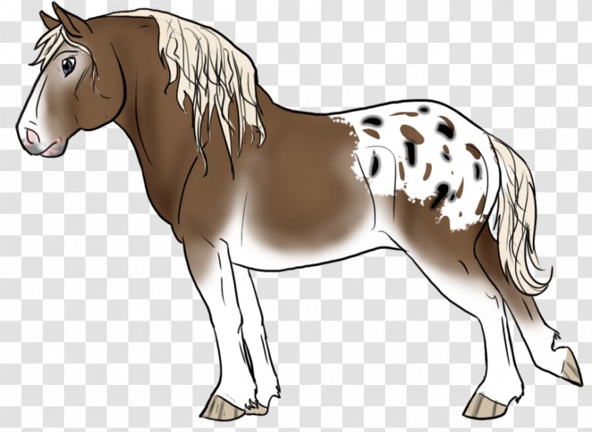 Mule Foal Stallion Mare Colt - Mottled Transparent PNG