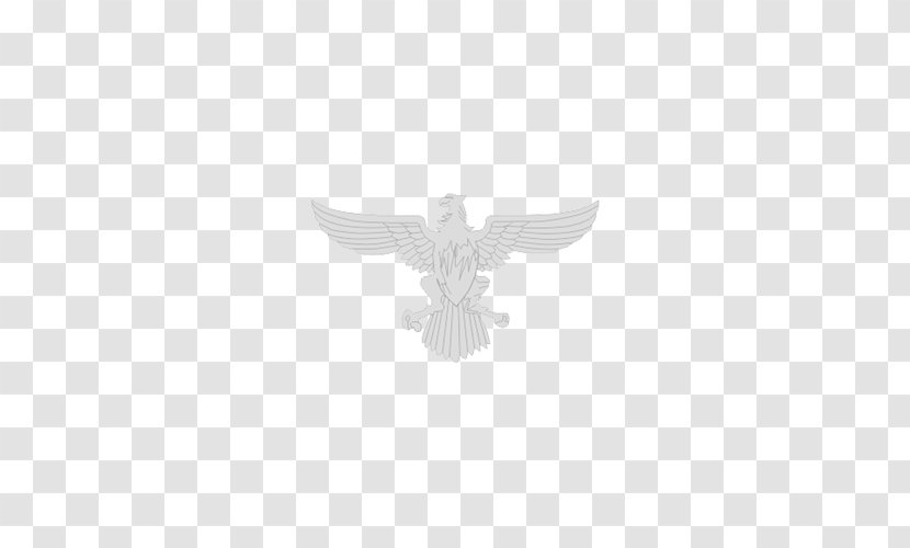 Bird Animal - Underlay Material Transparent PNG