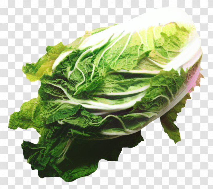 Vegetables Cartoon - Leaf Vegetable - Rapini Superfood Transparent PNG