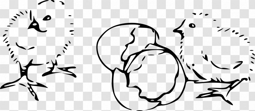 Chicken Drawing Kifaranga Clip Art - Cartoon - Hatching Transparent PNG