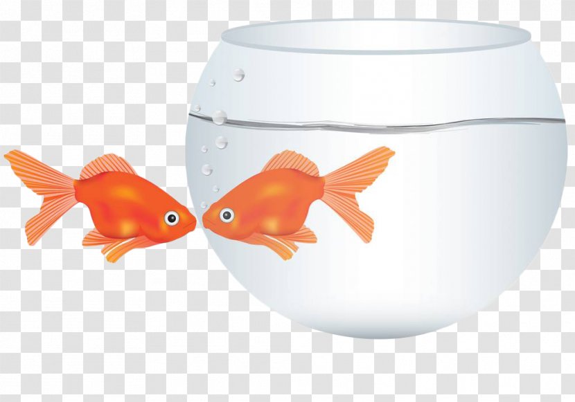 Goldfish Kissing Gourami Illustration - Drawing - Hand Painted Fish Transparent PNG