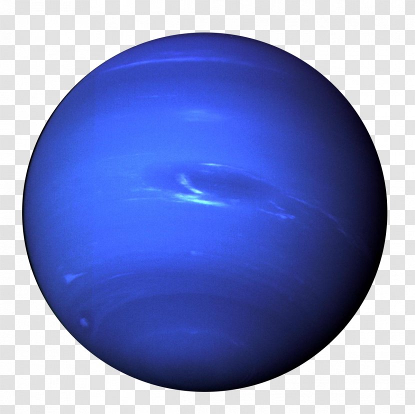 Neptune Planet Solar System Venus Uranus - Harbor Seal Transparent PNG