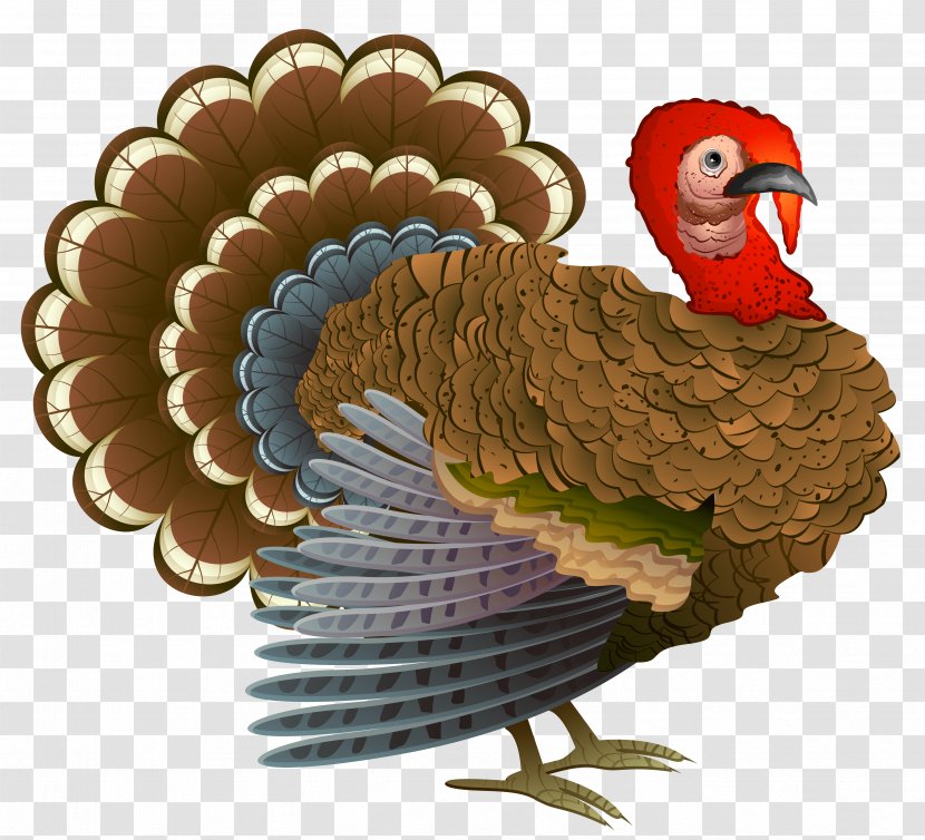 Turkey Thanksgiving Cornucopia Clip Art - Bird - Cliparts Background Transparent PNG
