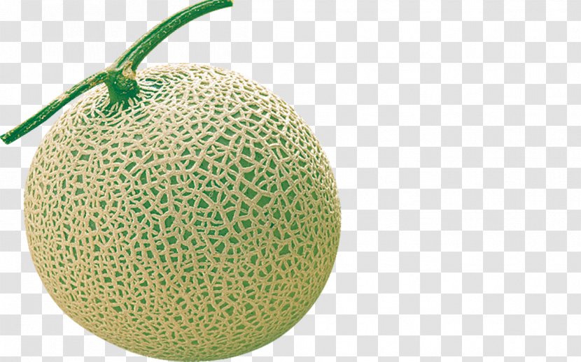 Cantaloupe Download Green - Galia - Papaya Transparent PNG