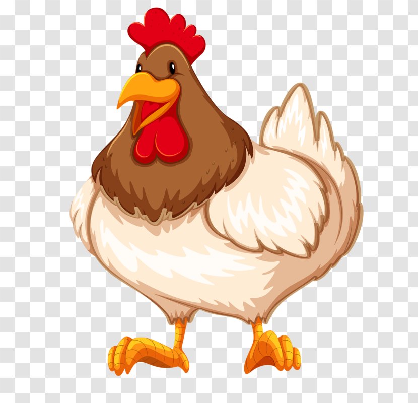 Chicken Rooster Kifaranga Clip Art - Food - Farmer Transparent PNG