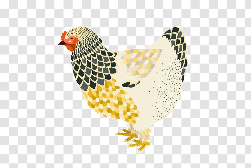 Ameraucana Fried Chicken Egg Rooster Salted Duck - Hen Transparent PNG