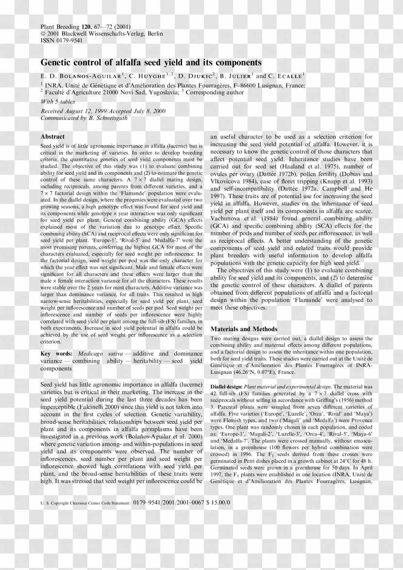 Paper Plum Branch Line Document Angle - Text - Alfalfa Transparent PNG