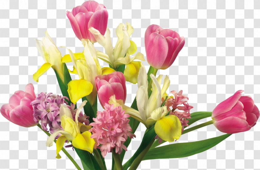 Flower Bouquet Tulip Cut Flowers Petal - Perianth Transparent PNG