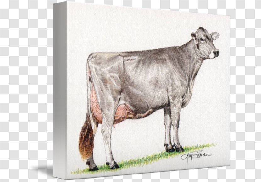 Dairy Cattle Brown Swiss Simmental Fleckvieh Zebu - Holstein Friesian - Cow Painting Transparent PNG