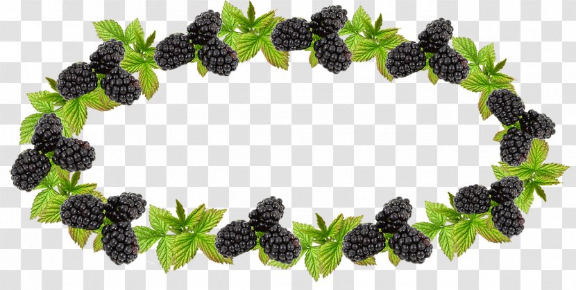 Berries Blackberry Image Jam - Flower Transparent PNG
