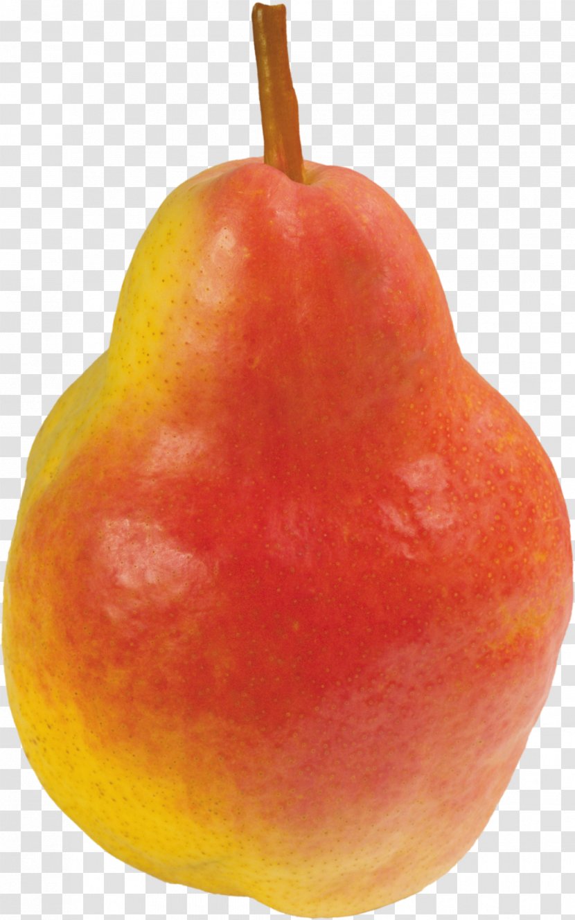 Pear Clip Art Accessory Fruit - Auglis Transparent PNG