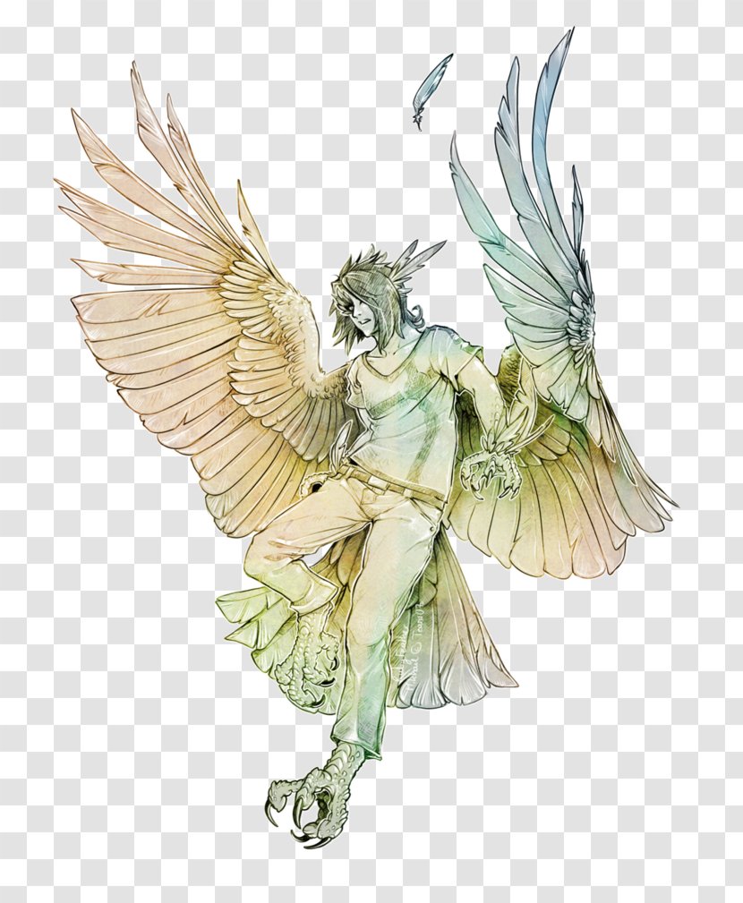 Harpy Legendary Creature Drawing Art Bird - Fairy - Fictional Character Transparent PNG