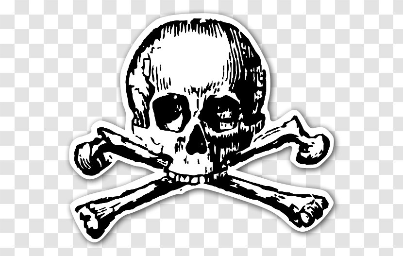 Totenkopf Human Skull Symbolism Sticker And Bones Transparent PNG