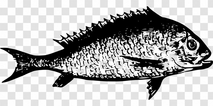 Lake Tanganyika Fresh Water Fish Burnaby Summer Program - Seafood - Ikan Transparent PNG