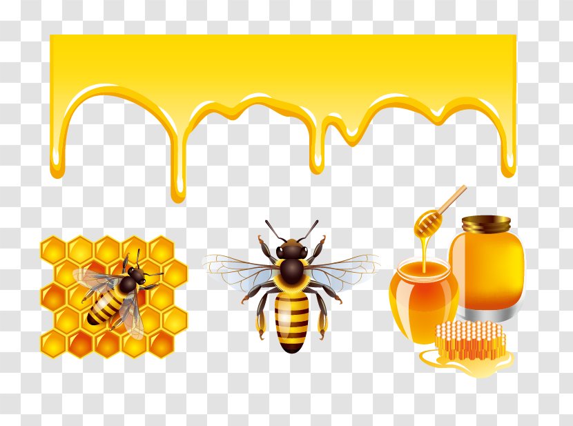 Honey Bee Clip Art - Royaltyfree - And Bees Design Transparent PNG