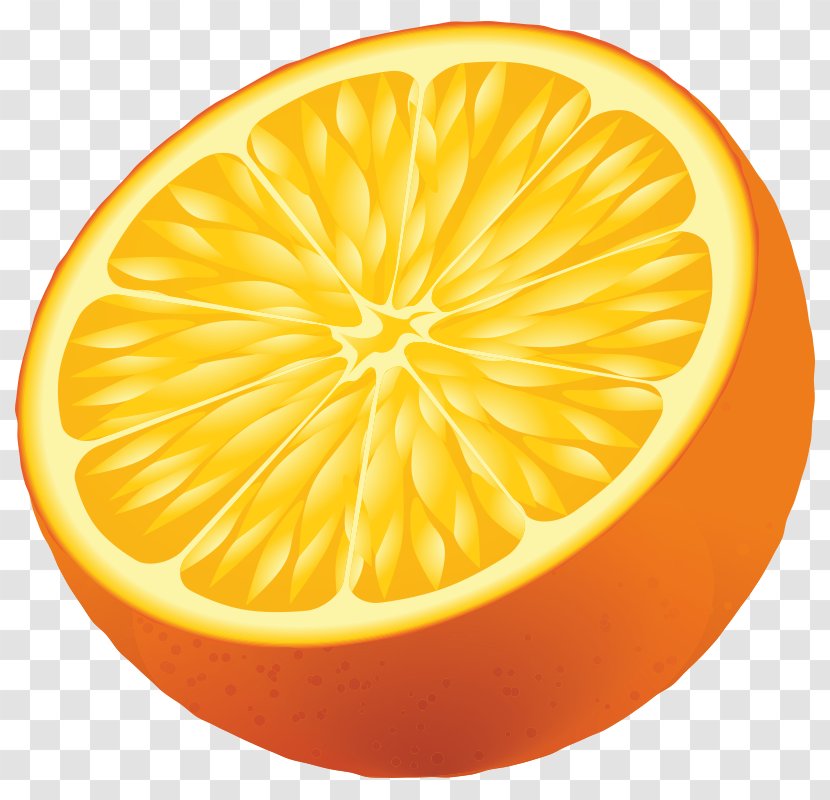 Vector Graphics Euclidean Image Illustration - Citrus - Lemon Transparent PNG