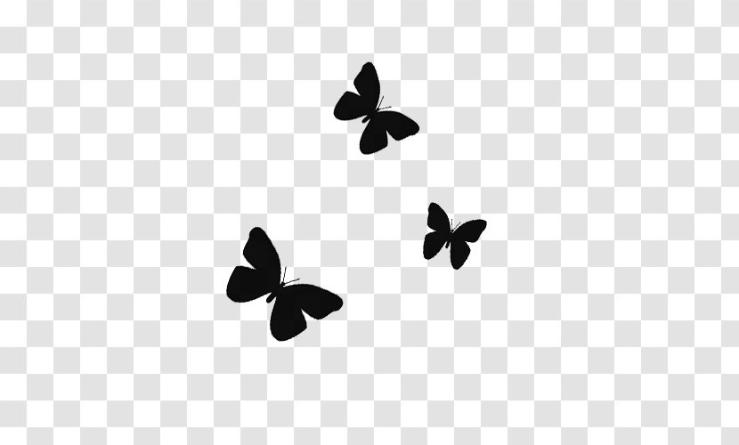 Desktop Wallpaper YouTube Word - Invertebrate - Butterfly Black And White Transparent PNG