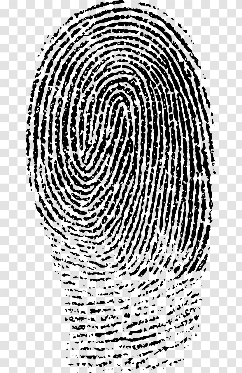 Fingerprint Forensic Science Clip Art - Tree - Fingerprints Transparent PNG