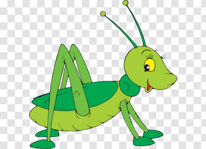 Grasshopper Cartoon Clip Art - Membrane Winged Insect Transparent PNG