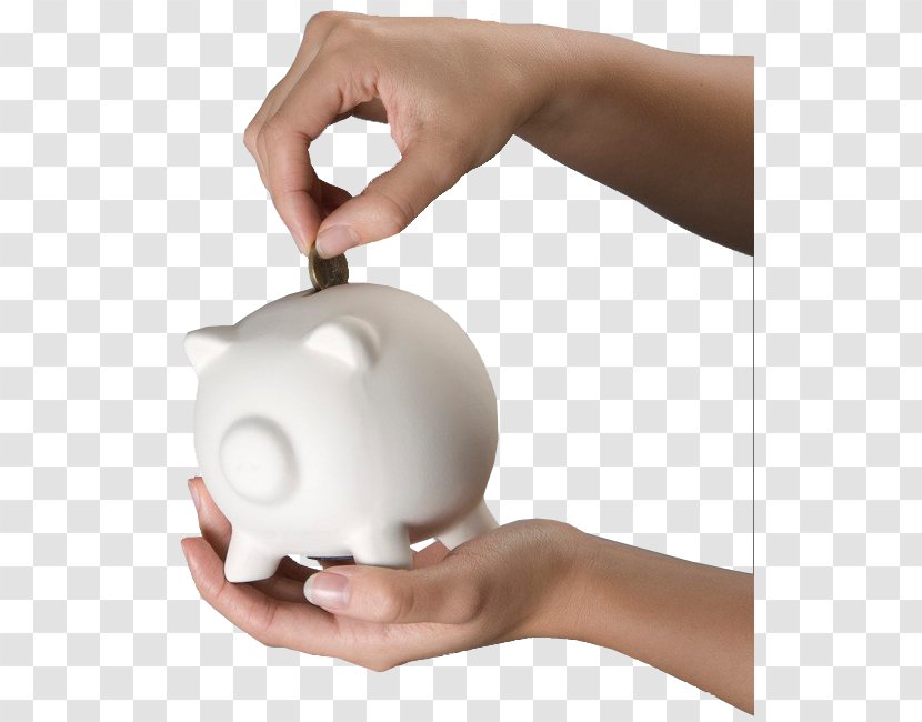 Domestic Pig Piggy Bank Coin - Save Transparent PNG
