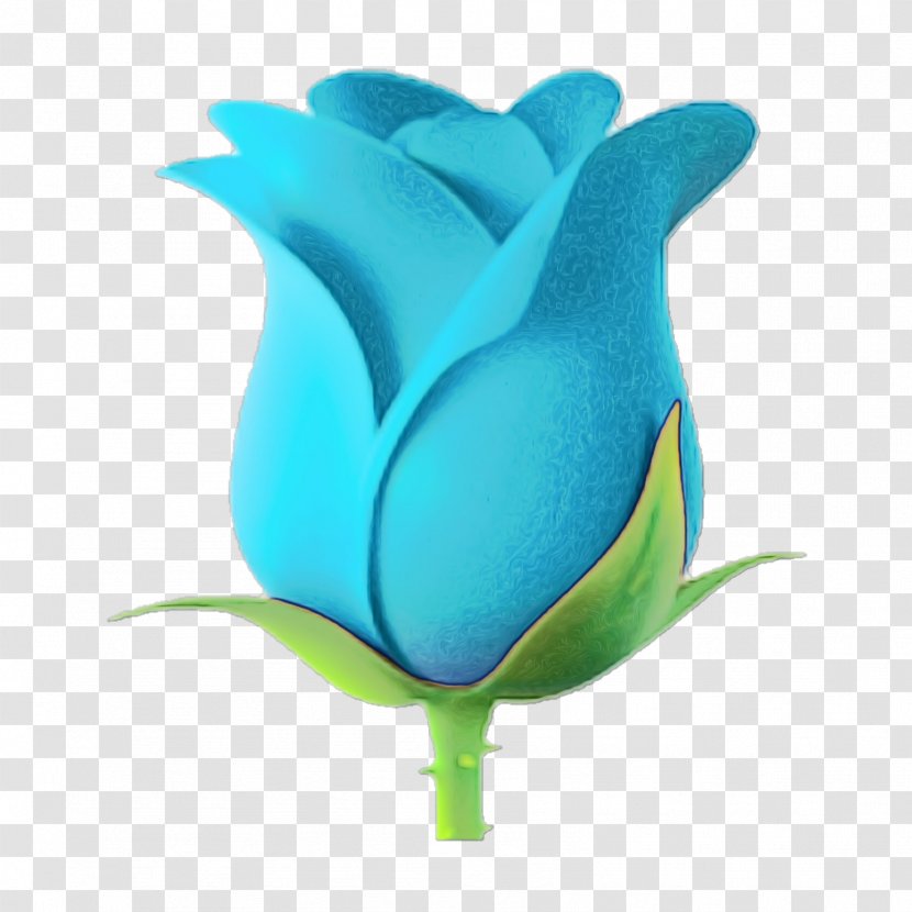 Flowers Background - Blue Rose - Order Tulip Transparent PNG