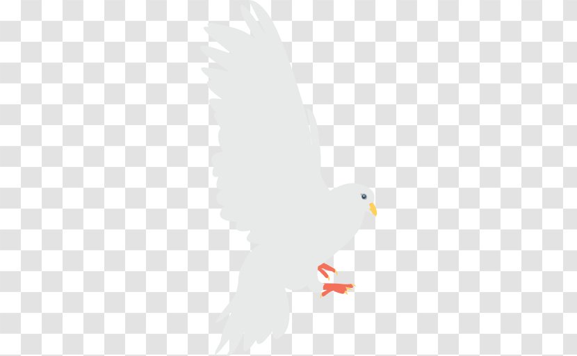 Columbidae Bird Domestic Pigeon Beak Wing Transparent PNG
