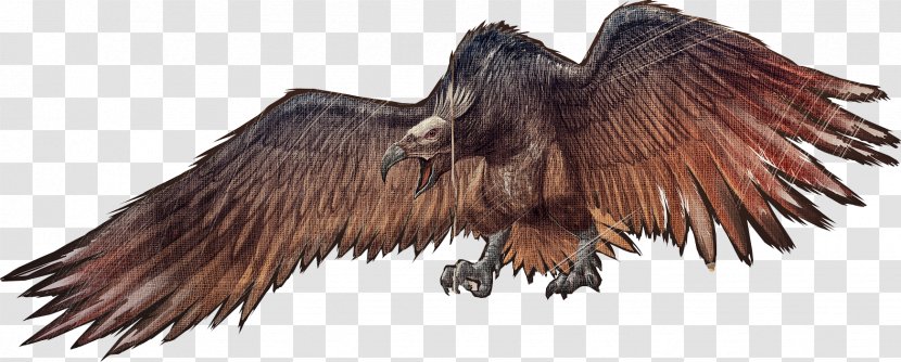 ARK: Survival Evolved Bird Argentavis Magnificens Spinosaurus Yutyrannus - Fauna Transparent PNG