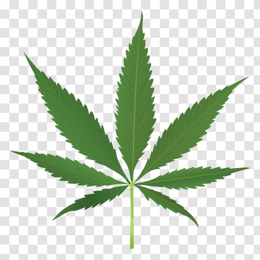 Cannabis Leaf Joint Clip Art - Bong Transparent PNG