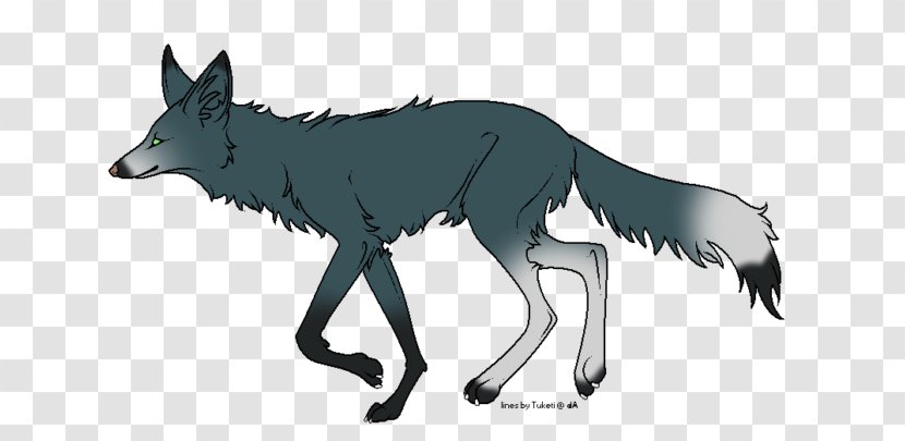 Red Fox Gray Wolf Snout Line Art - Mammal Transparent PNG