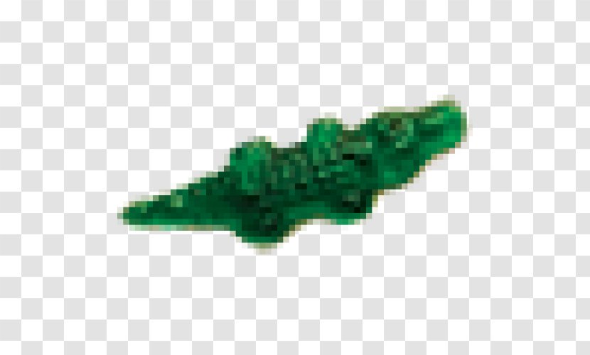 Reptile - Green - 100 % Halal Transparent PNG