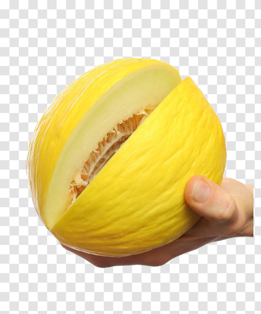 Honeydew Galia Melon Yellow Gourd - Citrullus Lanatus - Hand Holding Transparent PNG