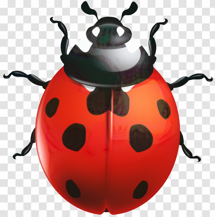Clip Art Ladybird Beetle Vector Graphics - Insect - Leaf Transparent PNG