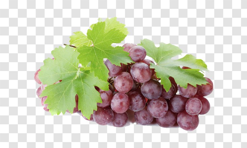 Sultana Grüner Veltliner Wine Grape Seedless Fruit - Achillea Millefolium Transparent PNG