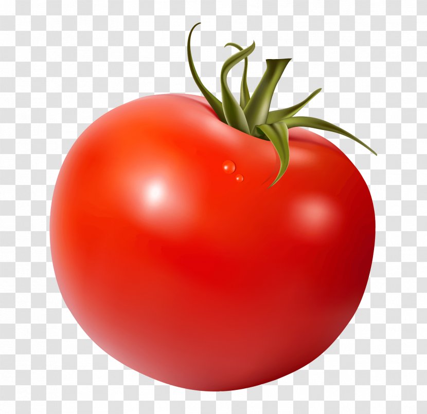Vegetable Fruit Tomato Juice Food - Plant Transparent PNG
