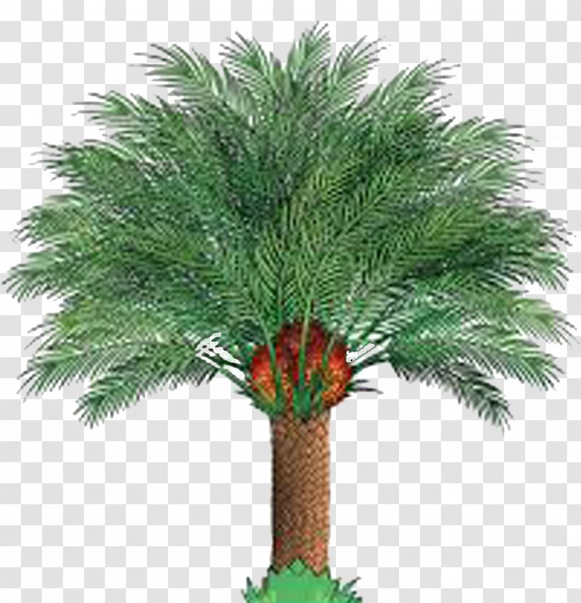 Palm Oil Ministry Of Plantation Industries And Commodities African - Flowerpot - Tree Transparent PNG